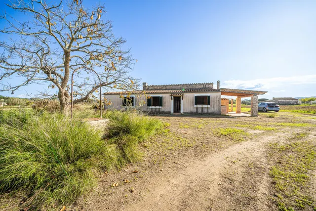 FINCA EN MONTUIRI CON VISTAS DESPEJADAS Y TERRENO LLANO CERCA DE LA CARRETERA PRINCIPAL — 31