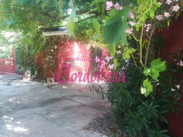 Parcela 100m² en venta - El Higuerón - foto 2