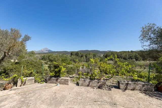 SE VENDE FANTASTICA FINCA RÚSTICA CON 35.000M2 DE TERRENO EN CALVIÀ — 47