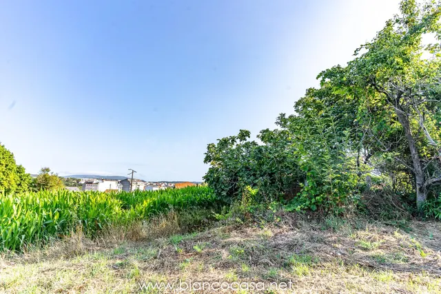🏡 ¡Oportunidad en Carballo! Dos casas con finca para REFORMA - foto 3