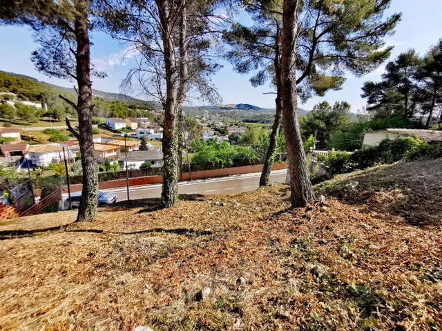 Amplio, con vistas y cercano al pueblo de Canyelles — 6
