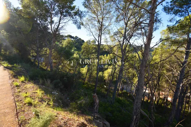 TERRENO CON VISTAS EN CALLE PRINEUS, MAS MESTRE — 3