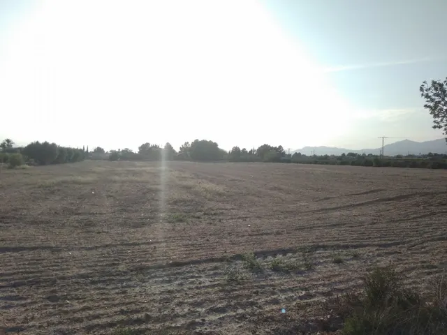 PARCELA EN MATOLA — 7