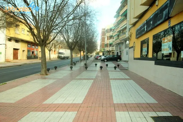 MAGNIFICO LOCAL EN SAN ROQUE-PARDALERAS — 6