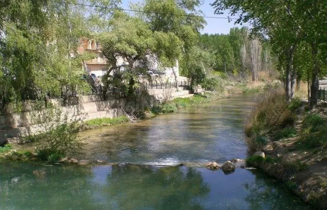 LOTE de Parcelas rústicas en venta en La Recueja, Albacete - foto 2