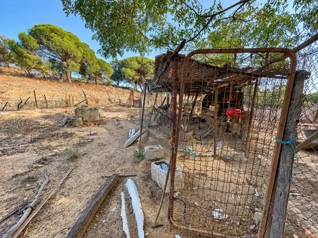 Finca rústica de 18.444 m2 con pozo y construcción catastrada en Alcalá de los Gazule — 16