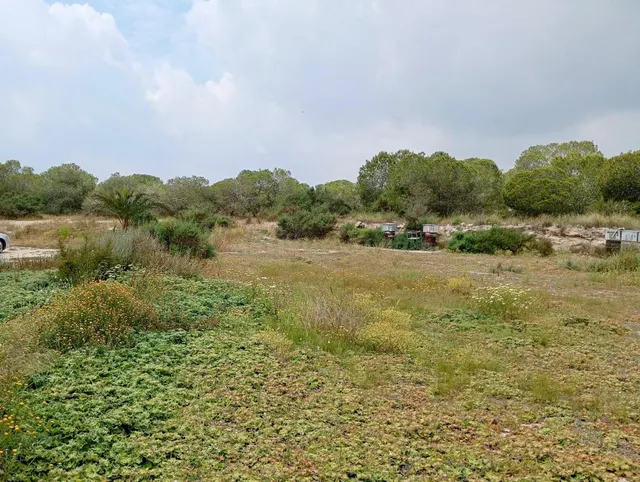 Terreno agrario con casa tipo albergue - foto 2