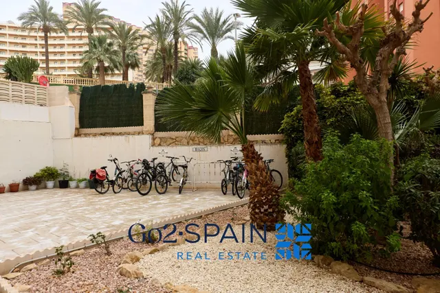 Piso en venta en zona Sierra Helada — 35