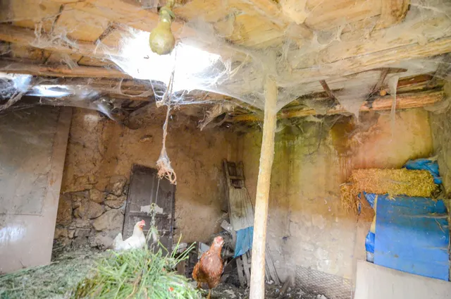 Urbis te ofrece una casa con terreno en venta en Doñinos de Salamanca, Salamanca. — 12