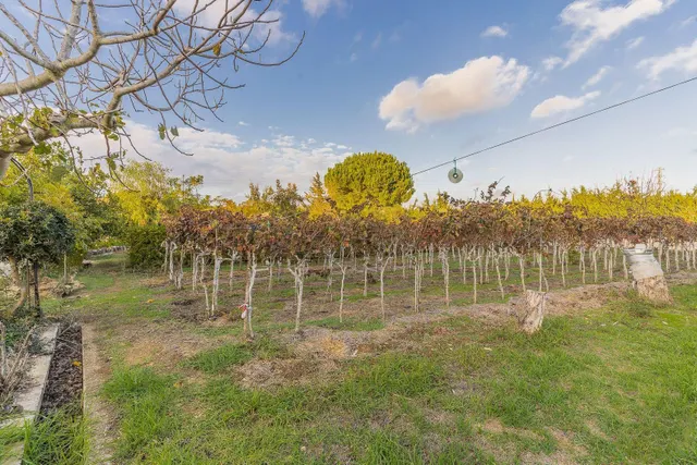 Finca Rural — 24