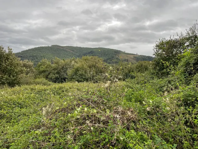 Terreno urbanizable en venta - Voto - foto 5