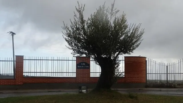 Urbis te ofrece una parcela en venta en zona Cuatro Calzadas, Salamanca. — 3