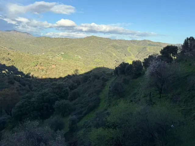 Finca rústica en zona alta de Marbella con vistas y servicios — 22
