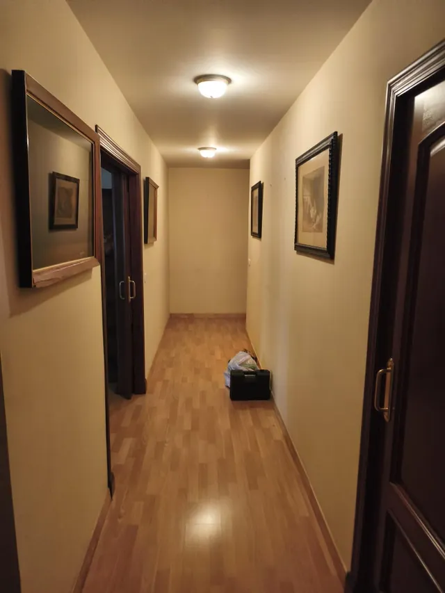 Piso 5 habitaciones 240m² en venta - Los Remedios — 44