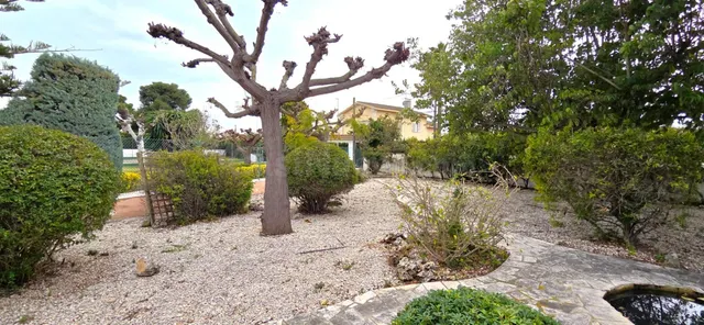 AMPLIO CHALET EN UNA GRAN PARCELA DE ESQUINA CERCA DE LA PLA - foto 4