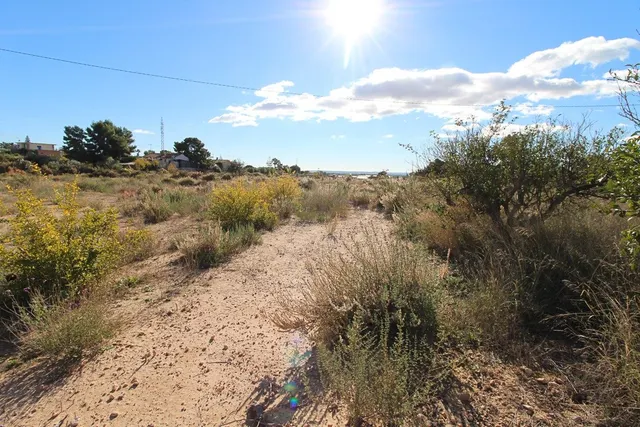 Parcela Urbanizable En Peña Las Aguilas, Buen Acceso y Buenas Vistas ¡INFORMATE! — 5