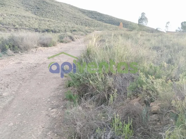 Terreno en el Alto  Purias — 5