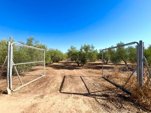 ALBOLOTE - PANTANO CUBILLAS - foto 3