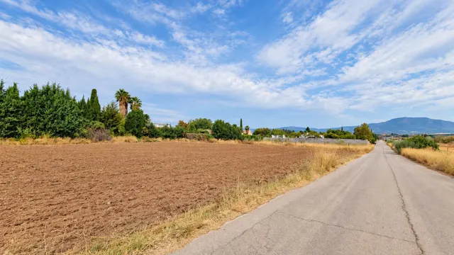 Parcela rústica de 4.824 m2 en Llanos de Moraleda, Moraleda de Zafayona — 7