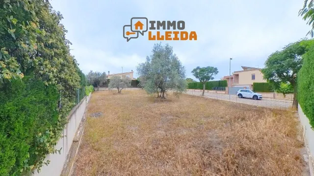 ¡Haz realidad la casa de tus sueños en Cervera! — 8