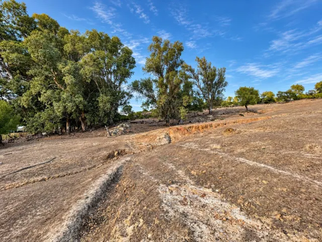 Finca rústica de 18.444 m2 con pozo y construcción catastrada en Alcalá de los Gazule — 30