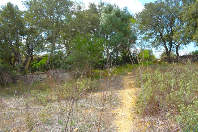 Finca rústica con posibilidad de vivienda en Llubi — 9