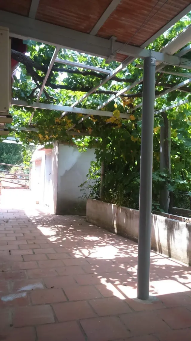 Finca rústica a la venta en Comares — 9