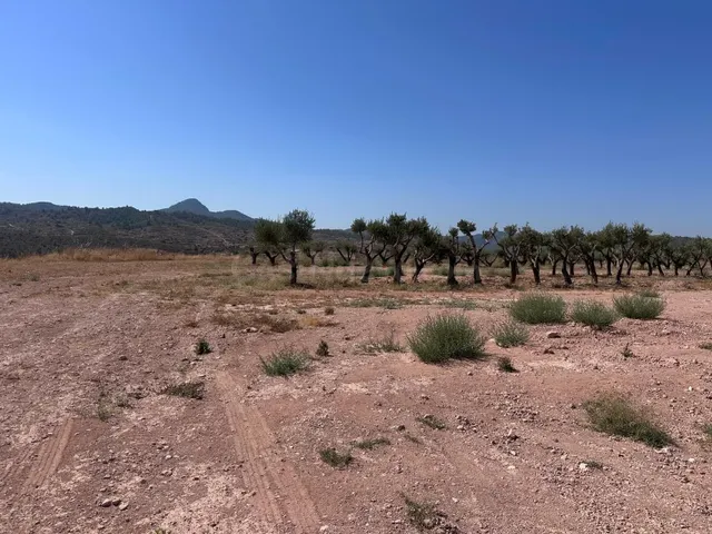 Parcela en venta - Macisvenda - foto 4