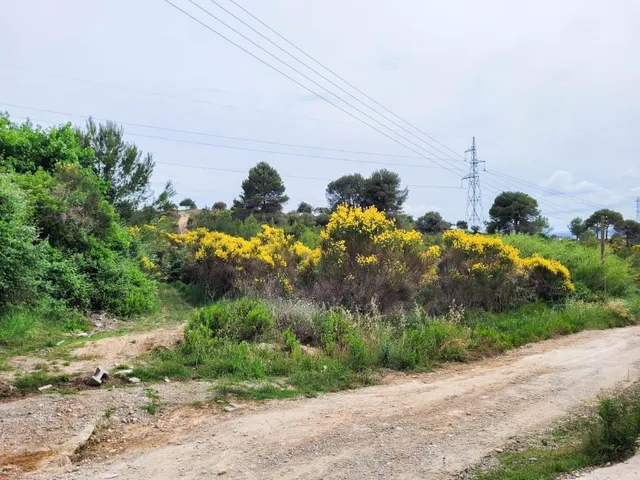 Terreno rústico de 10.735 m2 en Castellbisbal zona Can Nicolau de Dalt. — 17