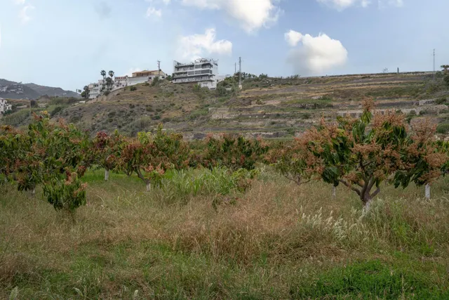 Finca con unas vistas de ensueño en Salobreña — 27