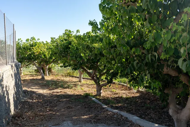 Encantadora Casa de Campo en Motril con Vistas al Mar en el Pago de Minasierra de Motril — 22