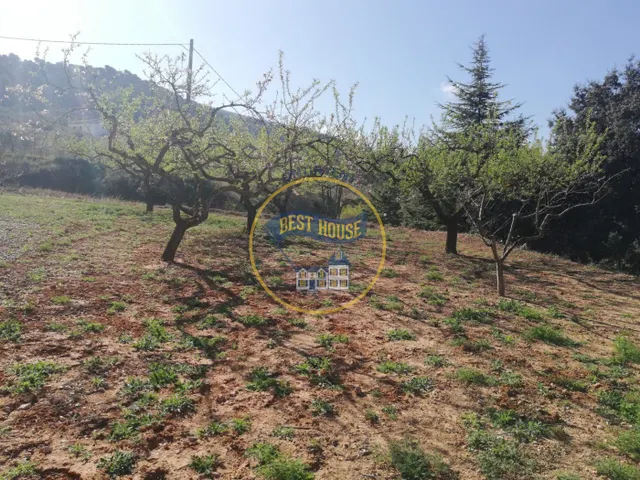TERRENO AGRICOLA EN ONTINYENT — 9