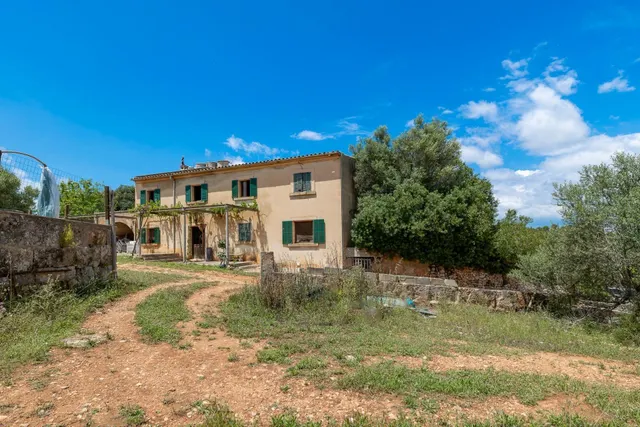 ALGAIDA, MAGNIFICA FINCA RUSTICA DE 121.000 M2 CON CASA — 7