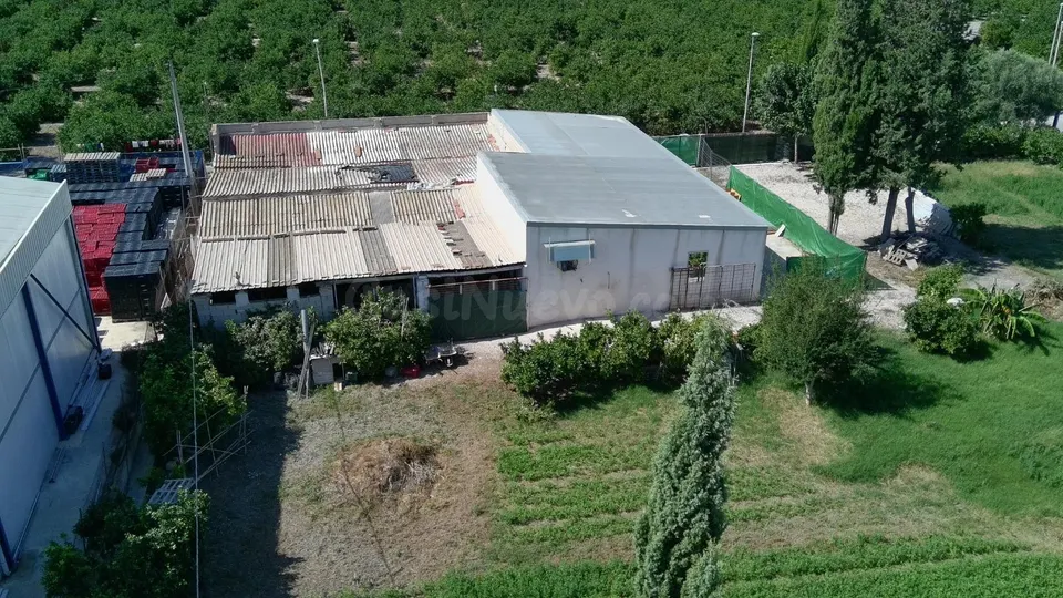 FINCA CON 3 APARTAMENTOS, NAVE Y 2.325 M2 DE PARCELA EN EL RAAL