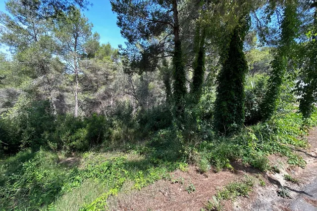PARCELA EN VENTA EN EL VEDAT - foto 2