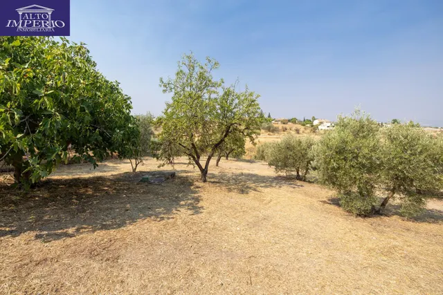 Encanto rústico con casita y olivos en Moraleja de Zafayona 🌿 — 29