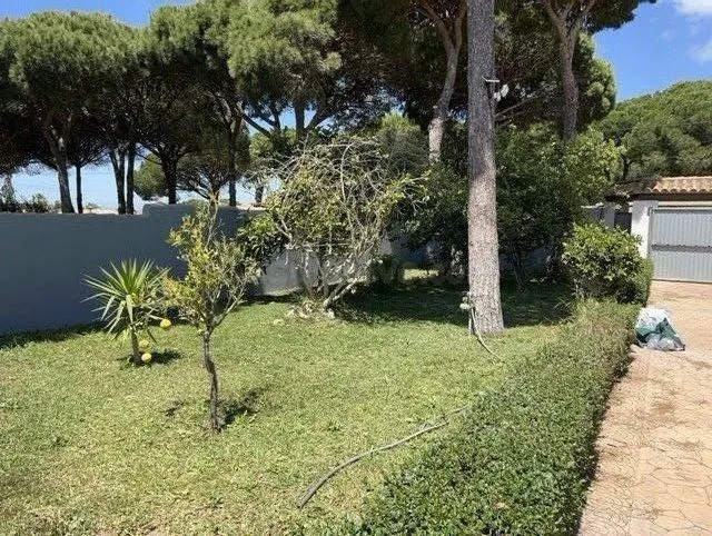 Villa Chele - foto 4