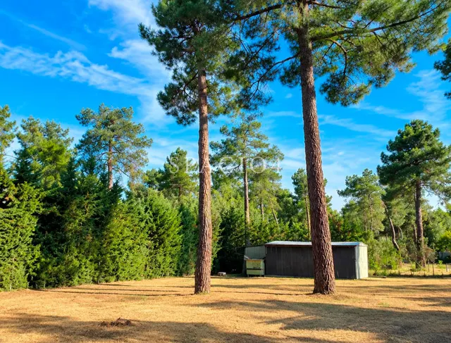 Chalet en venta en Segovia con piscina cubierta y 2.600 m2 — 6