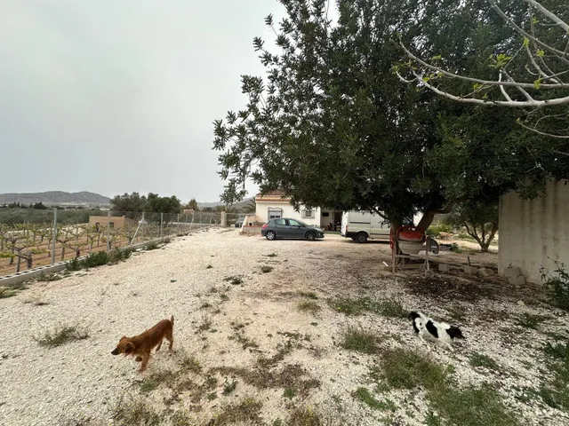 Casa de campo a 15 minutos de alicante — 14
