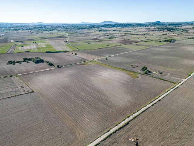 Terreno de 42.618m2 con Proyecto Basico y Ejecutivo Aprobados, mas Licencia para casa de 204 m2 — 16