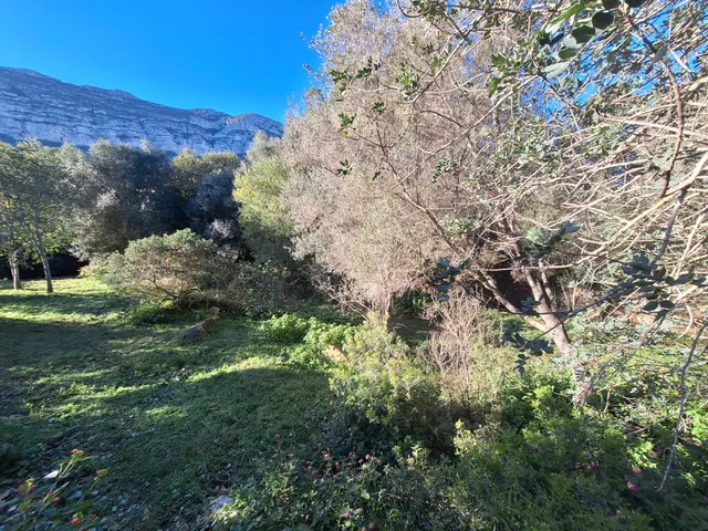 Terreno en venta en zona Galeretes — 29