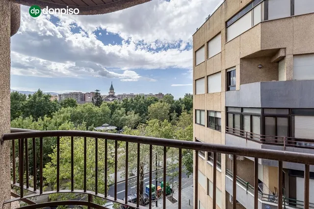 Pisazo en paseo del salón - Granada — 19