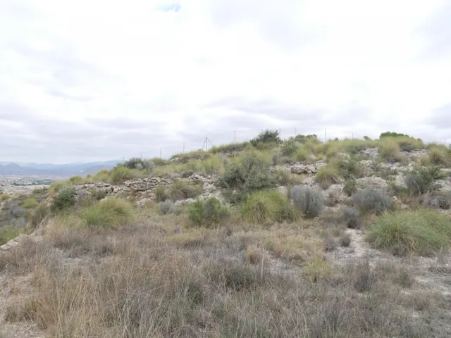 TERRENO RÚSTICO EN LA ZONA DE LA ZAFRA DE MONÓVAR — 4