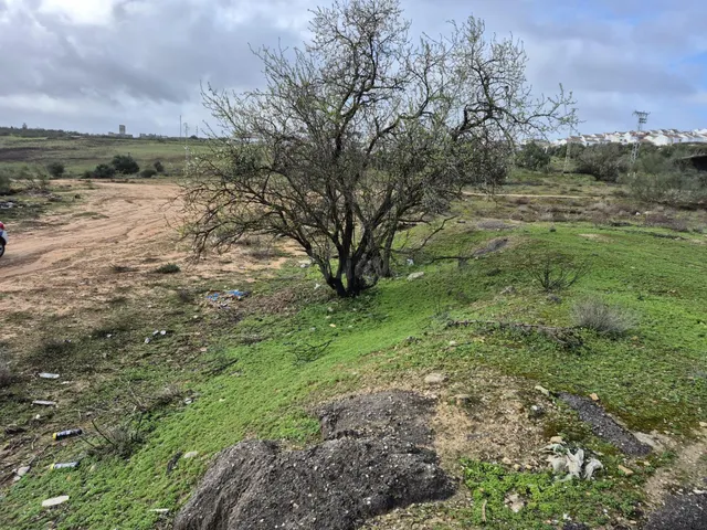 SE VENDE PARCELA EN ZONA CARRETERA EL BOSQUE- EL PANTANO DE  - foto 4