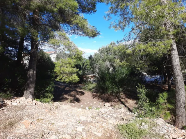 Parcela en zona Corral de calafat — 4