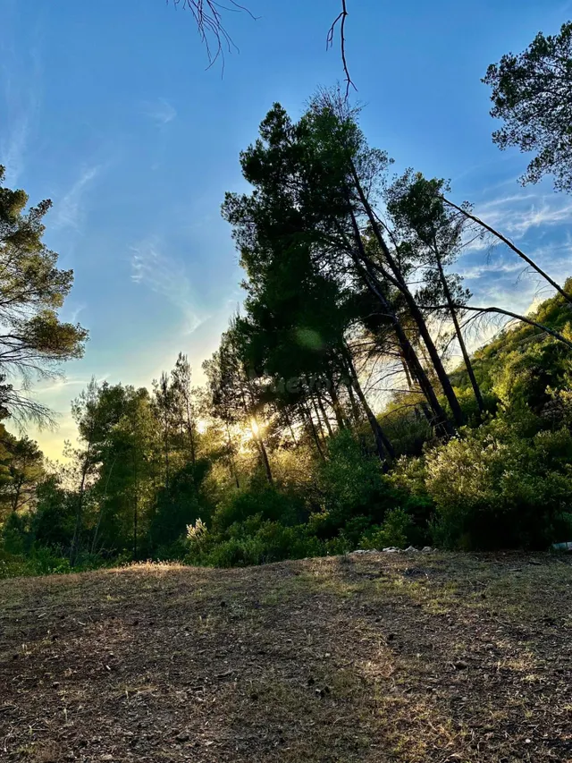 Terreno Rústico de 12.240 m2 en S’Arracó (Andratx) | Vistas al Mar, Cueva Natural y Pago Aplazado — 2