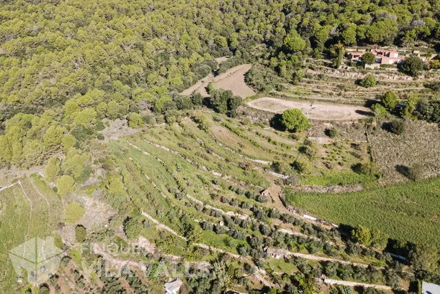 Granja con posibilidad de 2 vivendas.y 1 Ha de terreno — 7