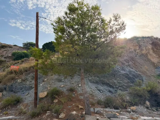 Oportunidad Única en La Envía: Parcela a la Venta por €38,00 - foto 3