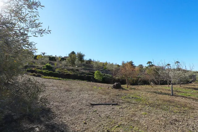 V1-Hacienda para inversores en el Paraje Coronado de Alora - Málaga — 39