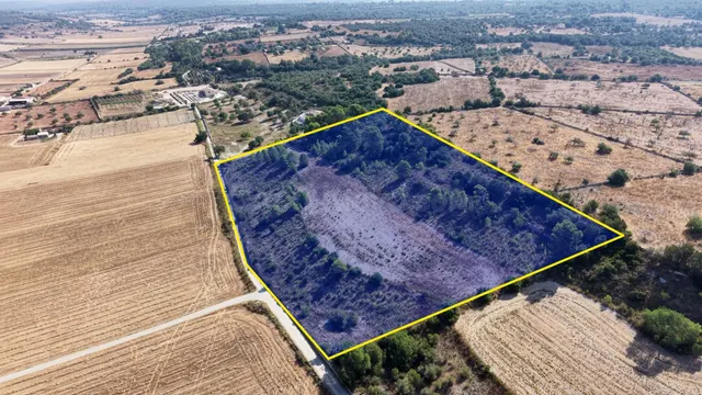 Terreno edificable de 29.547 m2 con vistas despejadas en Pet - foto 3